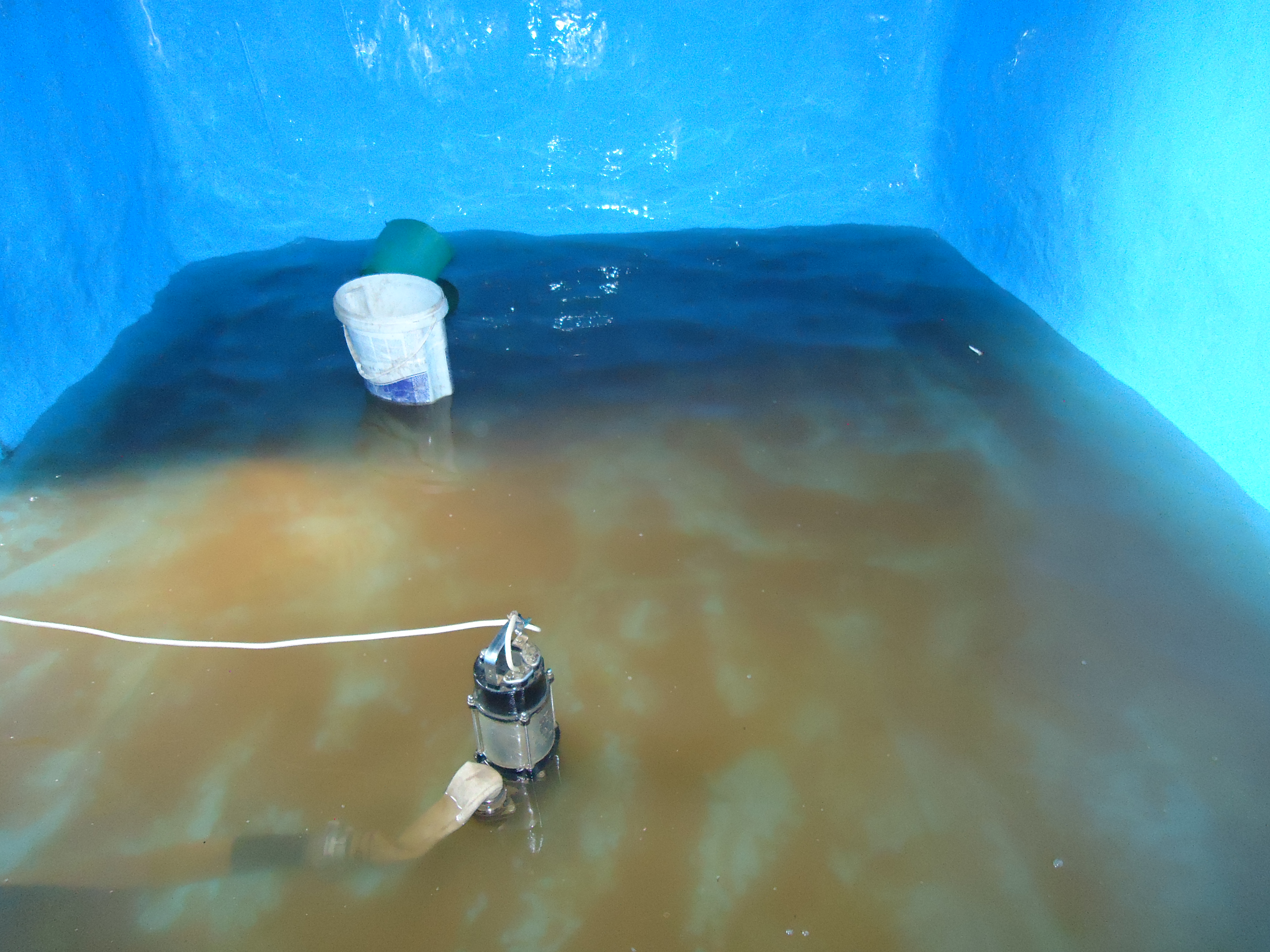 sanitariya sanitariya-gigiyena sanitariya-gigiyena sanitariya-epidemioloji qaydalar və normativlər sanitariya-epidemioloji salamatlıq haqqında sanitariya qaydaları sanitariya gigiyena qaydaları sanitariya az sanitariya-gigiyena.az Sanitariya Dezinfeksiya Xidmetleri. jedansoft.az Veb saytlarin hazirlanmasi