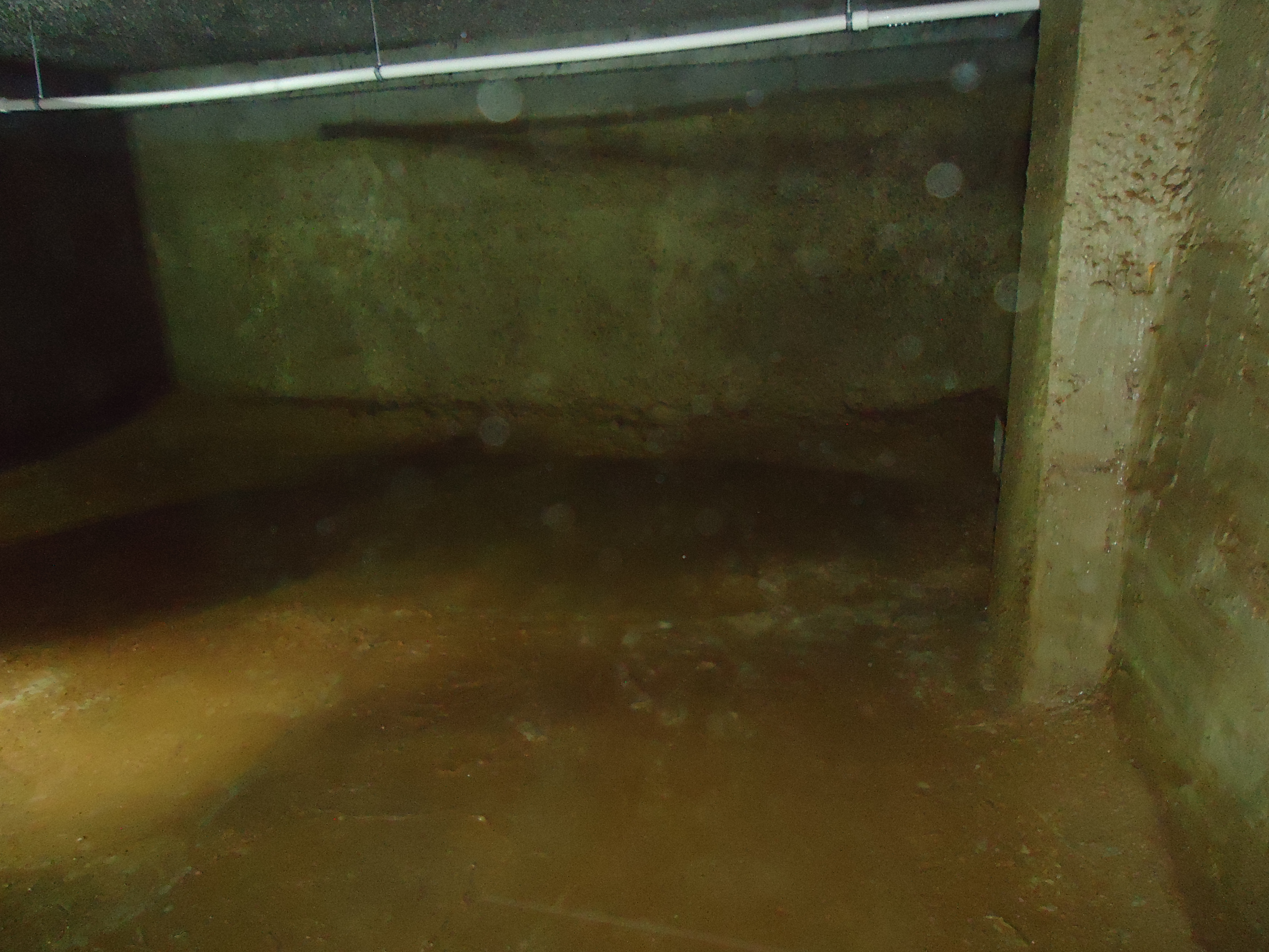 sanitariya sanitariya-gigiyena sanitariya-gigiyena sanitariya-epidemioloji qaydalar və normativlər sanitariya-epidemioloji salamatlıq haqqında sanitariya qaydaları sanitariya gigiyena qaydaları sanitariya az sanitariya-gigiyena.az Sanitariya Dezinfeksiya Xidmetleri. jedansoft.az Veb saytlarin hazirlanmasi