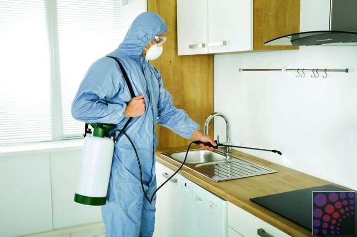 sanitariya sanitariya-gigiyena sanitariya-gigiyena sanitariya-epidemioloji qaydalar və normativlər sanitariya-epidemioloji salamatlıq haqqında sanitariya qaydaları sanitariya gigiyena qaydaları sanitariya az sanitariya-gigiyena.az Sanitariya Dezinfeksiya Xidmetleri. jedansoft.az Veb saytlarin hazirlanmasi